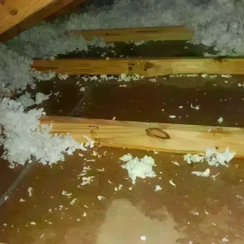 Attic Water Damage in Warsaw, NC