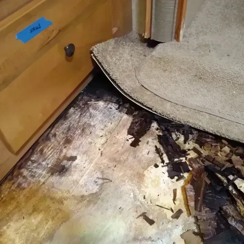 Wood Floor Water Damage in Warsaw, NC